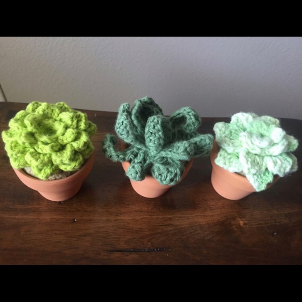 Succulent Set - Picture 2 of 2
